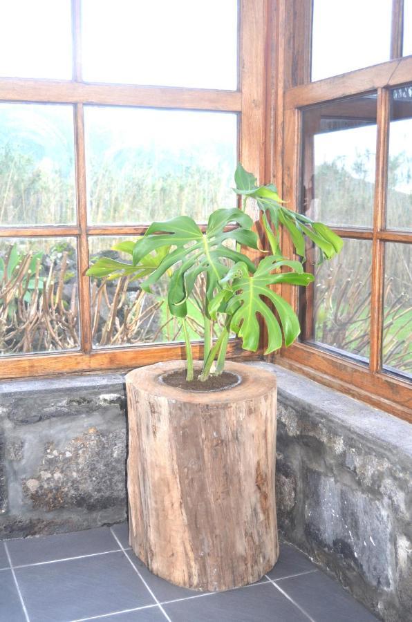 Casa Vista Fantastica Holiday home Pedro Miguel